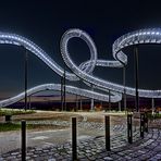 Tiger & Turtle