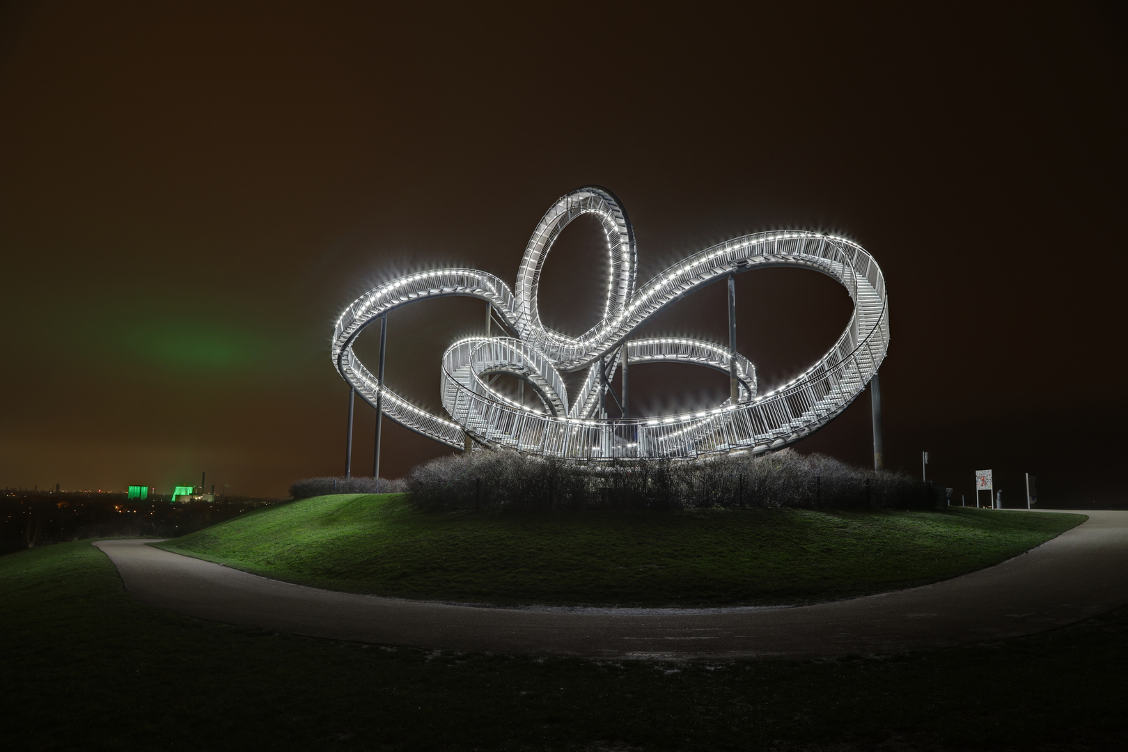 Tiger & Turtle