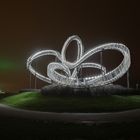 Tiger & Turtle