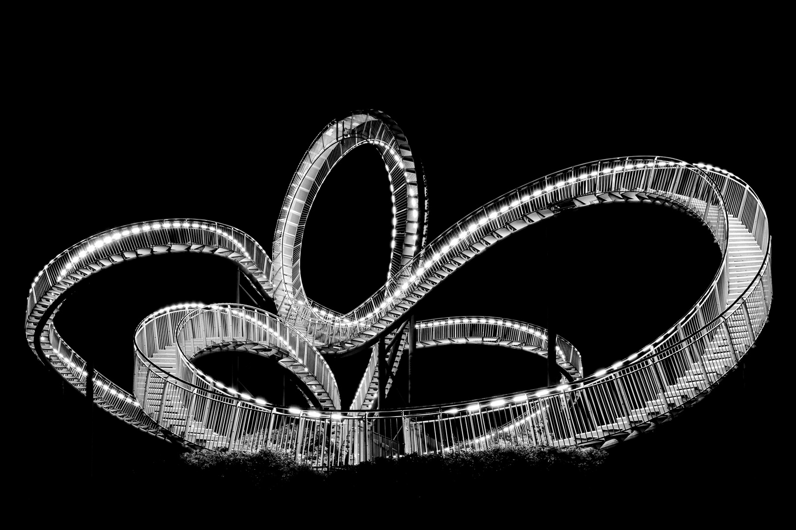 Tiger & Turtle