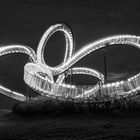 Tiger & Turtle