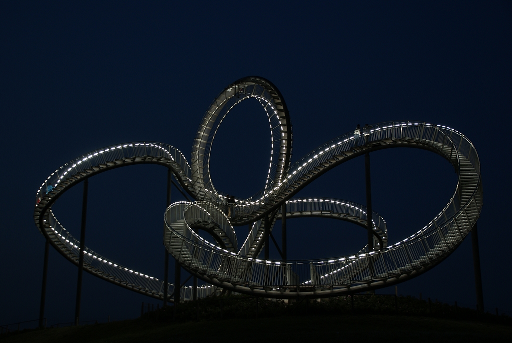 Tiger & Turtle