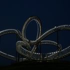 Tiger & Turtle