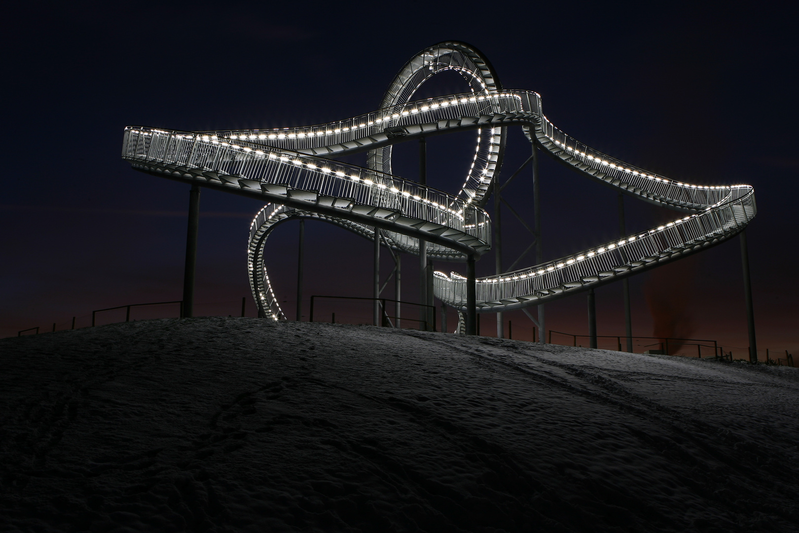 Tiger & Turtle