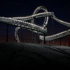 Tiger & Turtle