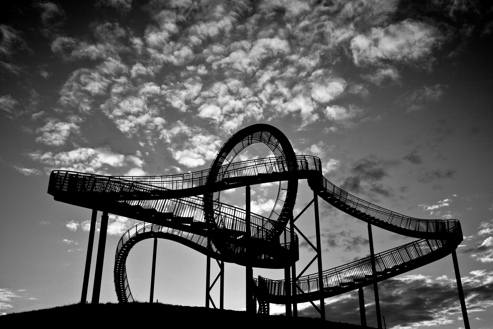 Tiger & Turtle