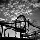 Tiger & Turtle