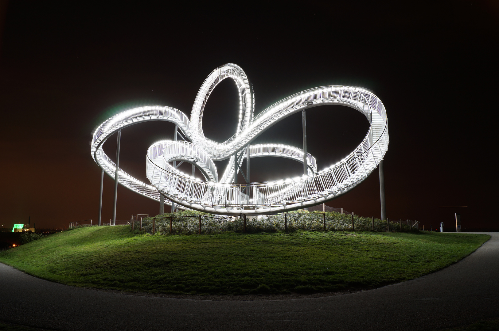 Tiger & Turtle