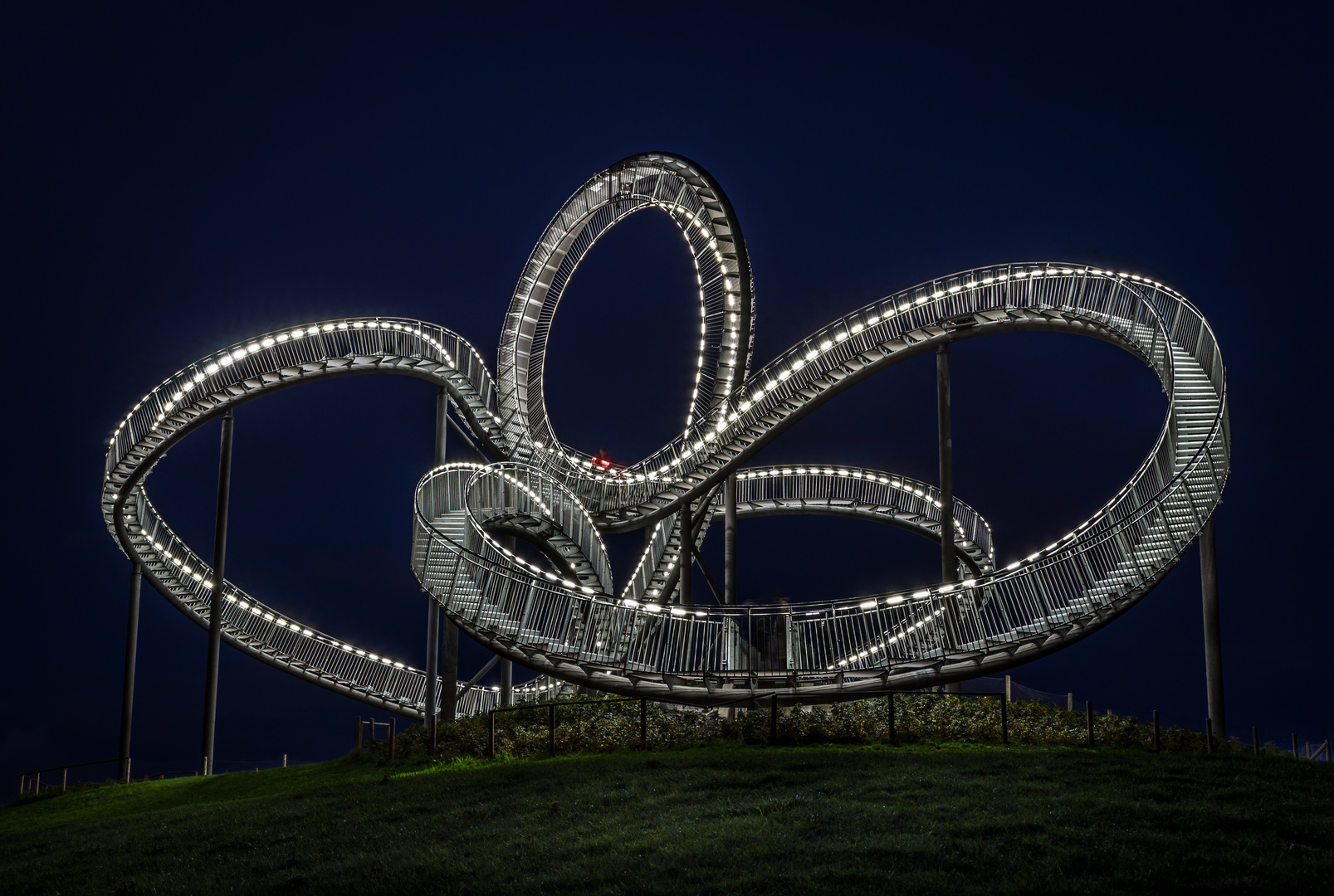 Tiger & Turtle