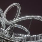 Tiger & Turtle