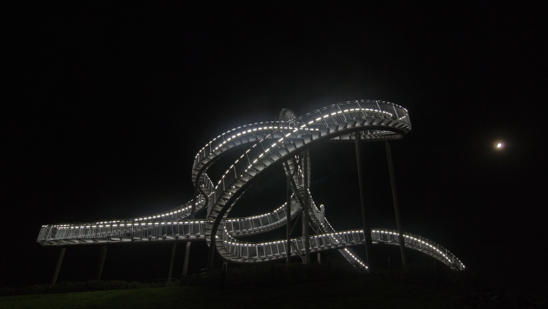 Tiger & Turtle