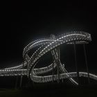 Tiger & Turtle