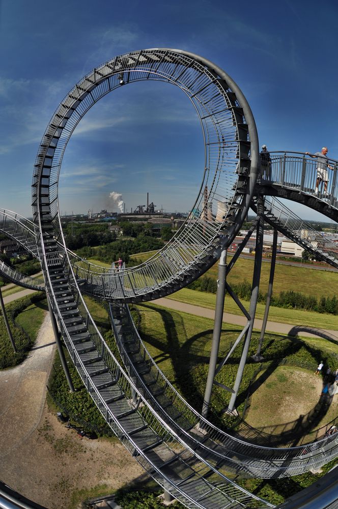 Tiger & Turtle 7