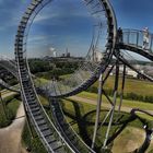 Tiger & Turtle 7