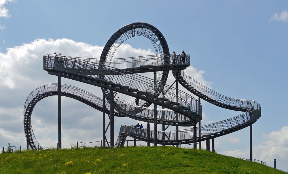 " Tiger & Turtle "