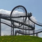 " Tiger & Turtle "