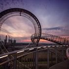 Tiger & Turtle