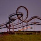 Tiger & Turtle