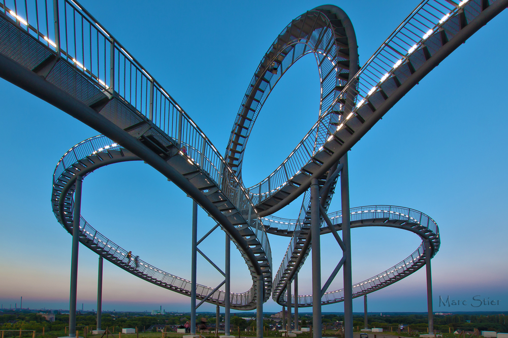 Tiger & Turtle