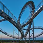 Tiger & Turtle