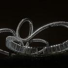 Tiger & Turtle 