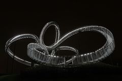 Tiger & Turtle 