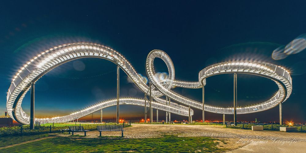 Tiger & Turtle