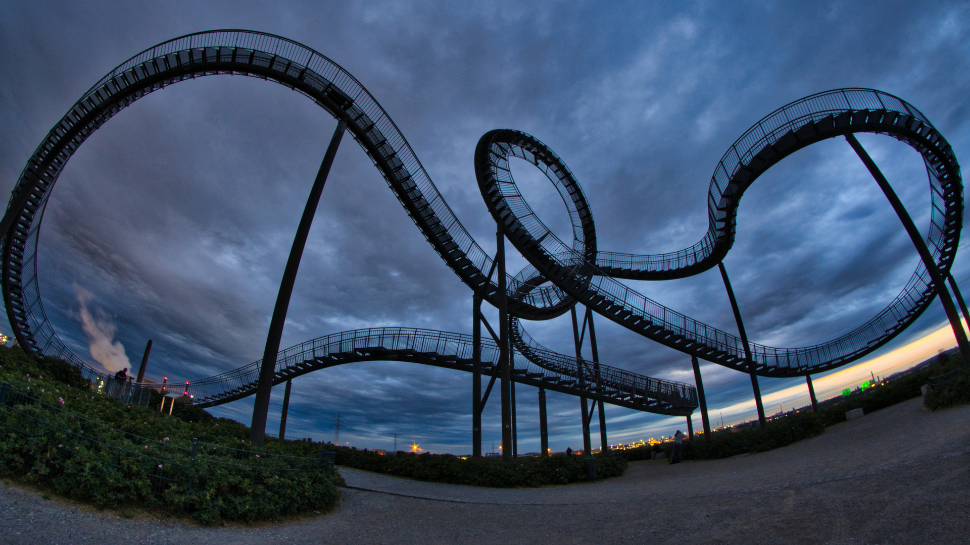 Tiger & Turtle 