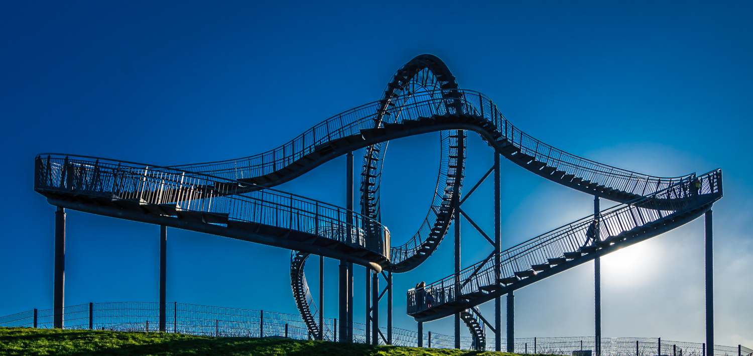 Tiger & Turtle