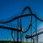 Tiger & Turtle