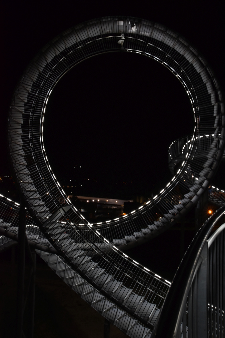 Tiger & Turtle