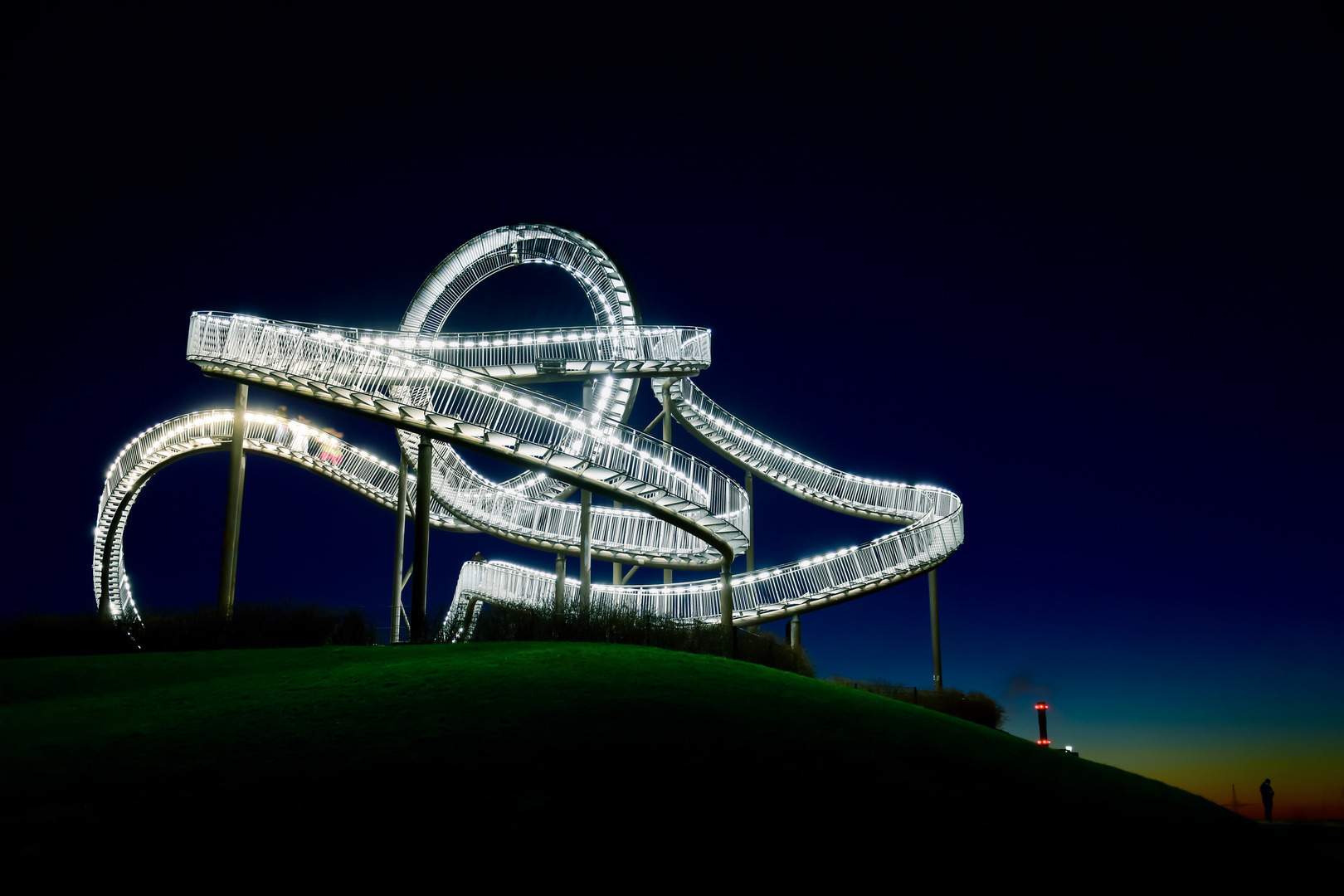 Tiger & Turtle