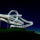 Tiger & Turtle