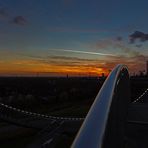 Tiger & Turtle