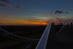 Tiger & Turtle