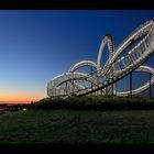 Tiger & Turtle