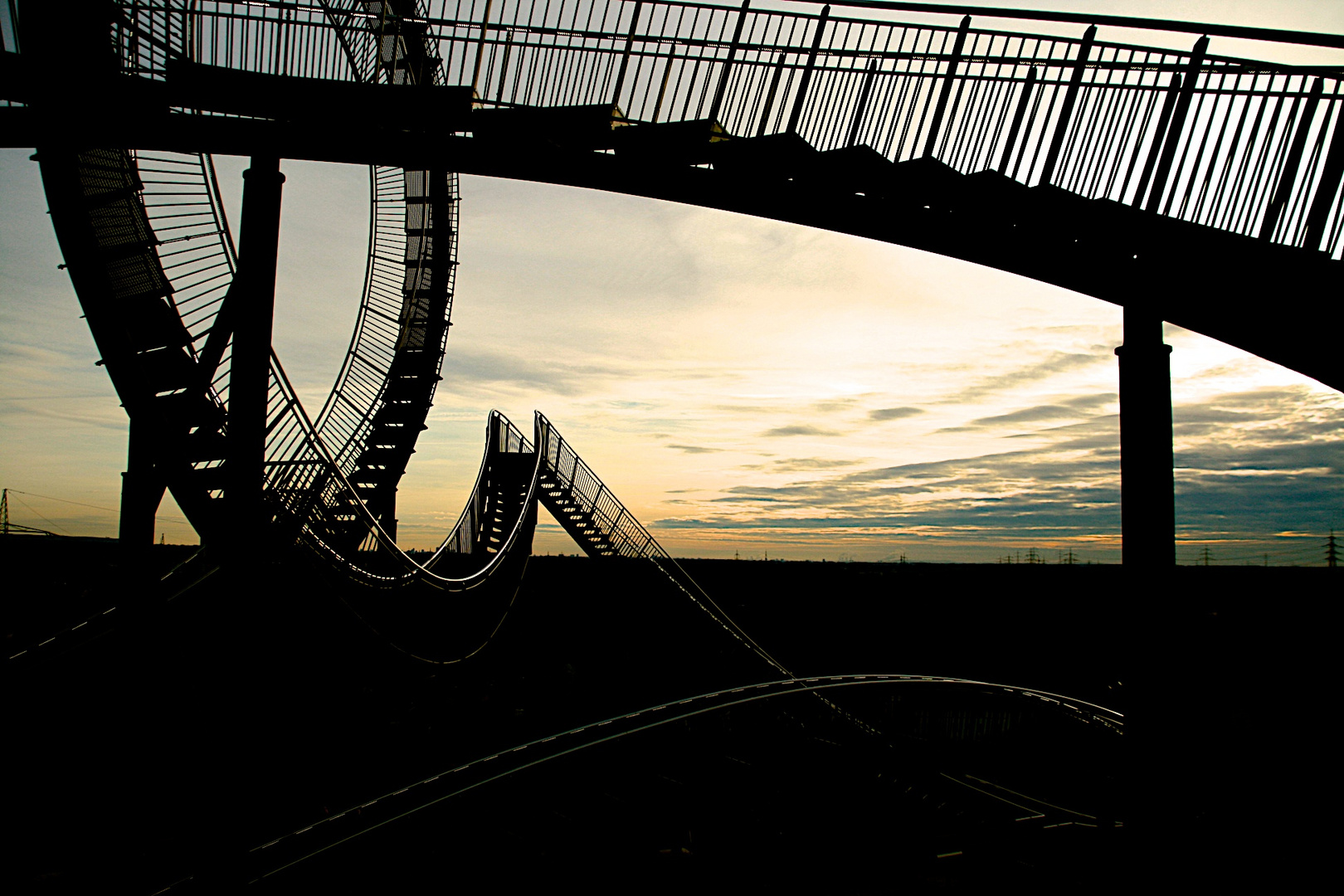 Tiger & Turtle