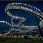 Tiger & Turtle