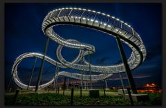 Tiger & Turtle