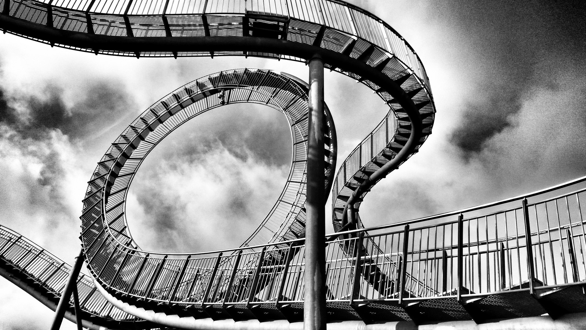 Tiger & Turtle