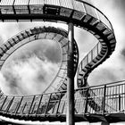 Tiger & Turtle