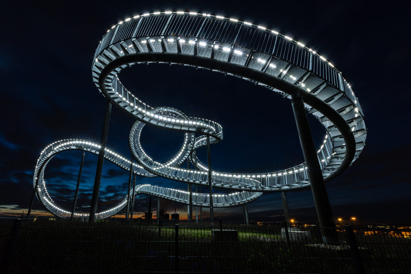 Tiger & Turtle