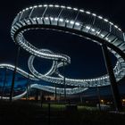 Tiger & Turtle