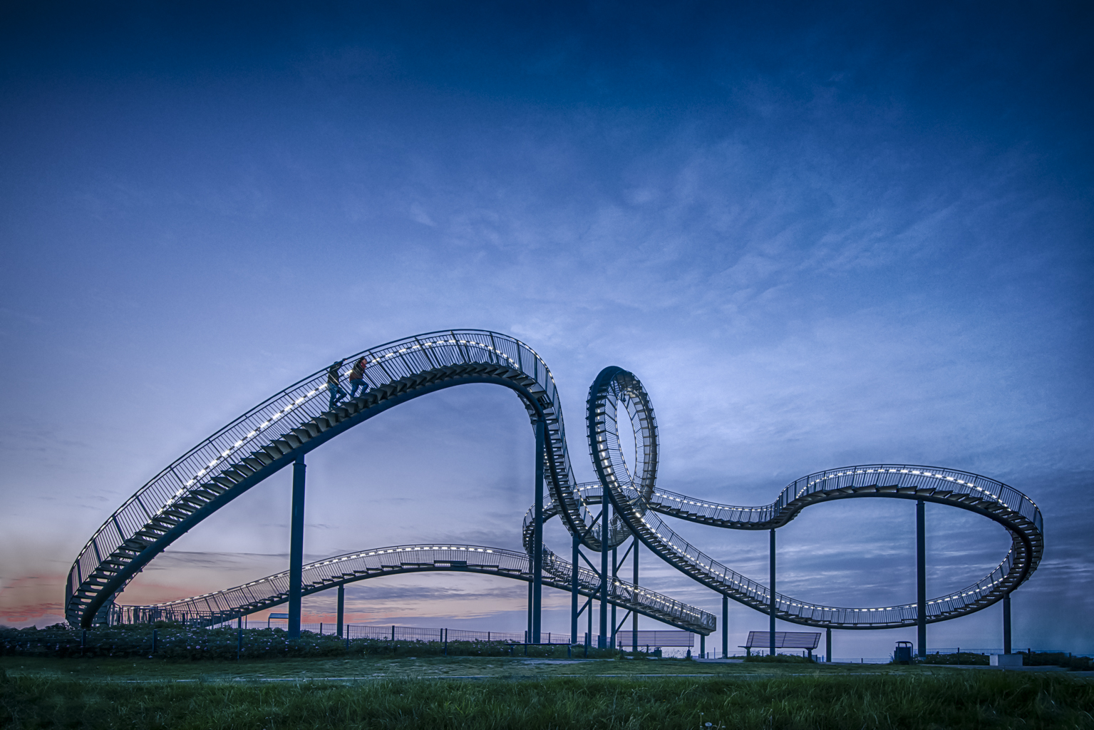 Tiger & Turtle