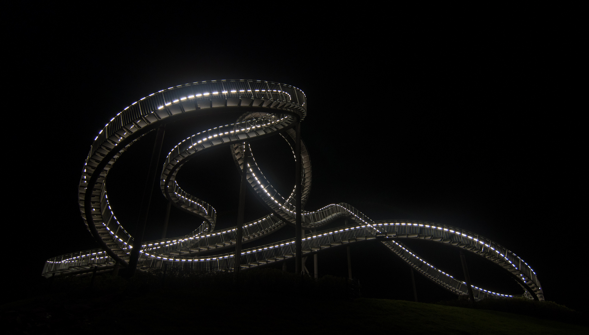 Tiger & Turtle