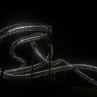 Tiger & Turtle