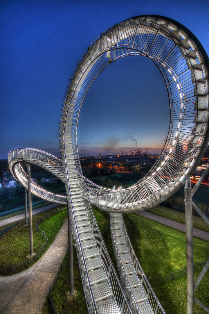 Tiger & Turtle