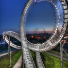 Tiger & Turtle