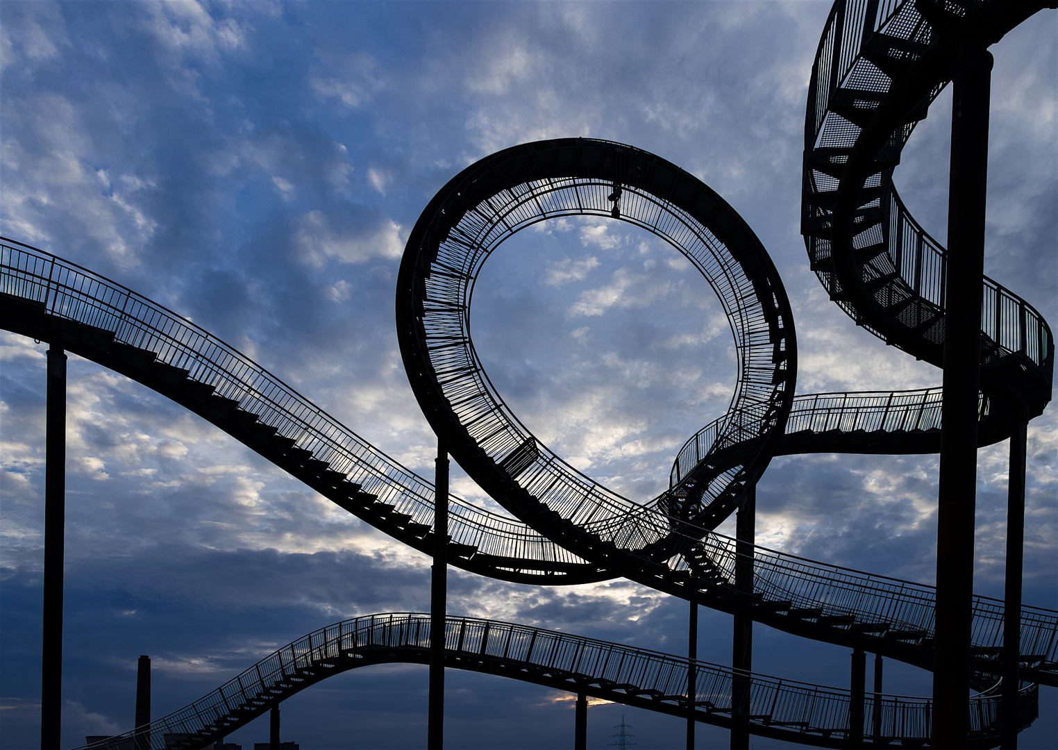 Tiger & Turtle