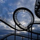 Tiger & Turtle